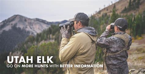 utah hunting odds|Utah Elk Hunting, Draw Odds Results and Harvest Data .